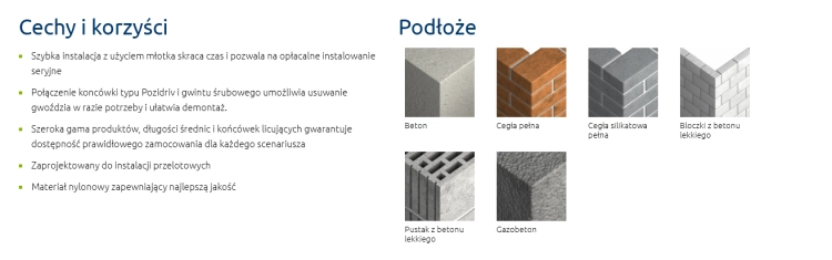 KOŁEK WBIJANY Z KOŁNIERZEM SZYBKI MONTAŻ 6x40MM 100SZT RAWLPLUG