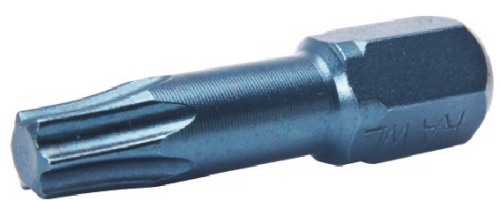GROT TORX T25 BIT 25MM RT-BIT-TORX25/25 RAWLPLUG